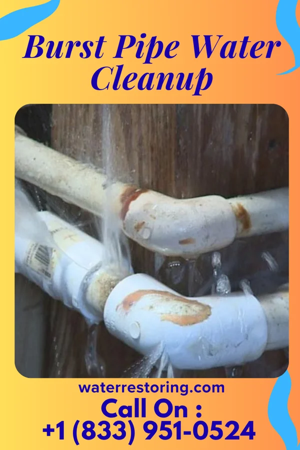 Burst Pipe Water Cleanup in Dearing, KS