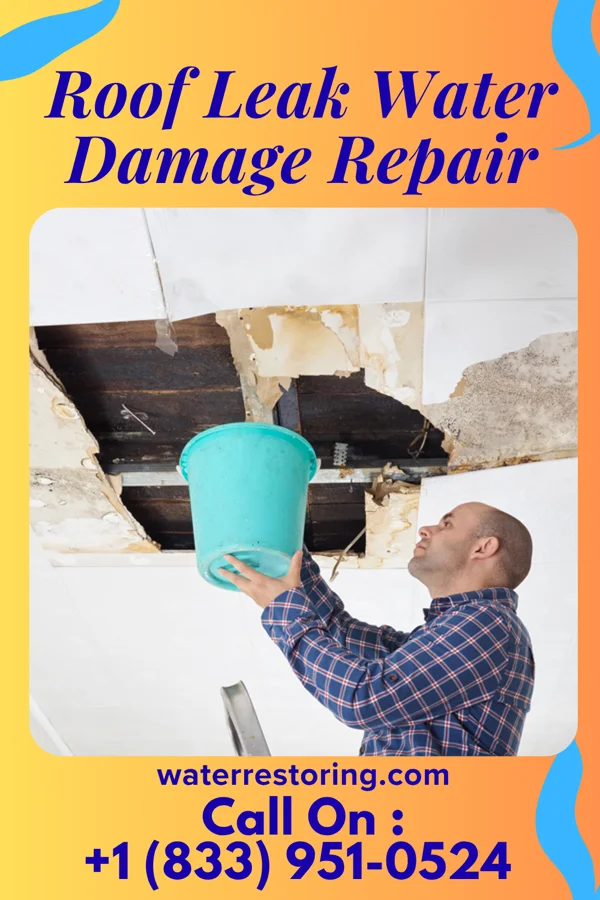 Roof Leak Water Damage Repair in Dearing, KS