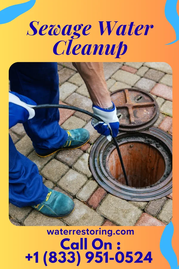 Sewage Water Cleanup in Dearing, KS